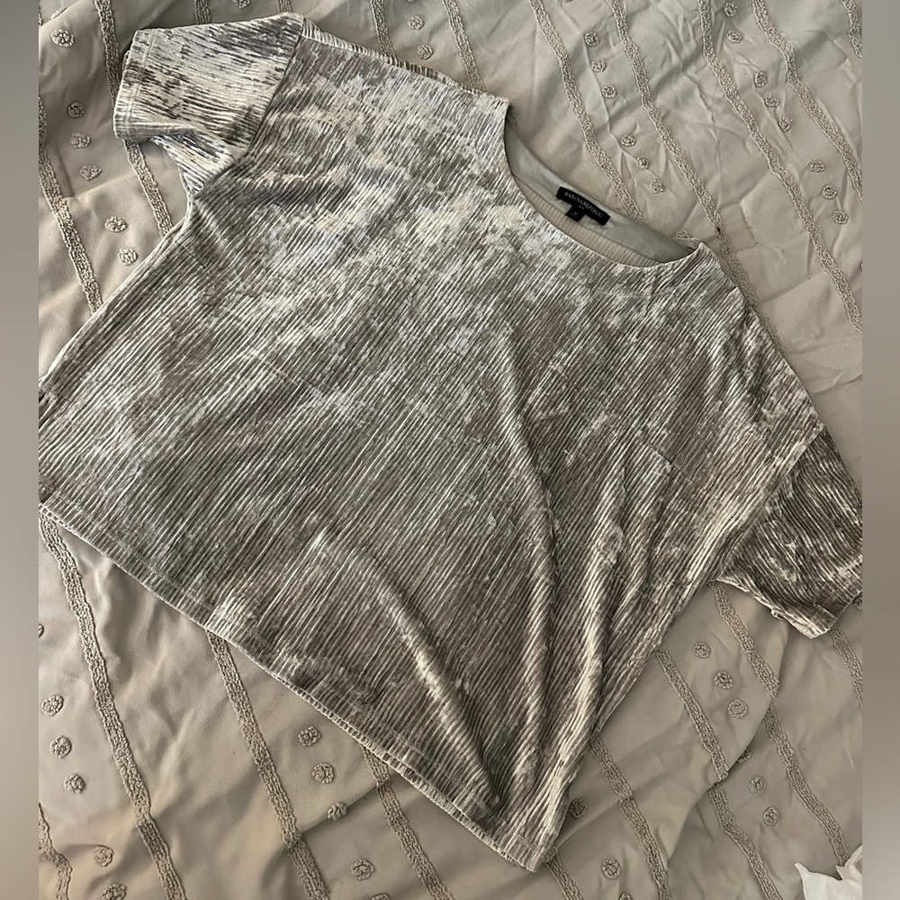Banana Republic Silver/Gray Velvet Set